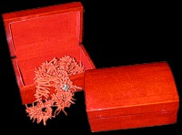 Red Coral Box - Click For Larger View
