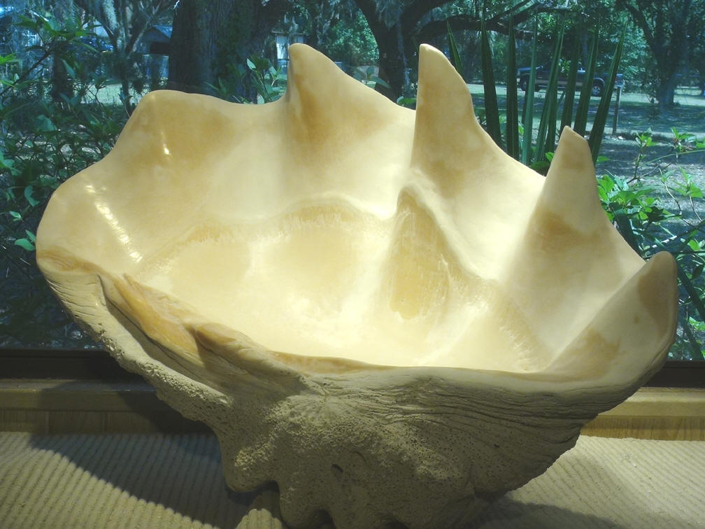 giant clam shell serving bowl